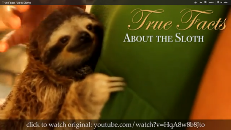 Illustration for article titled Morrissey Being a Dick, Fun Facts about Sloths, and the Science of Color Vision